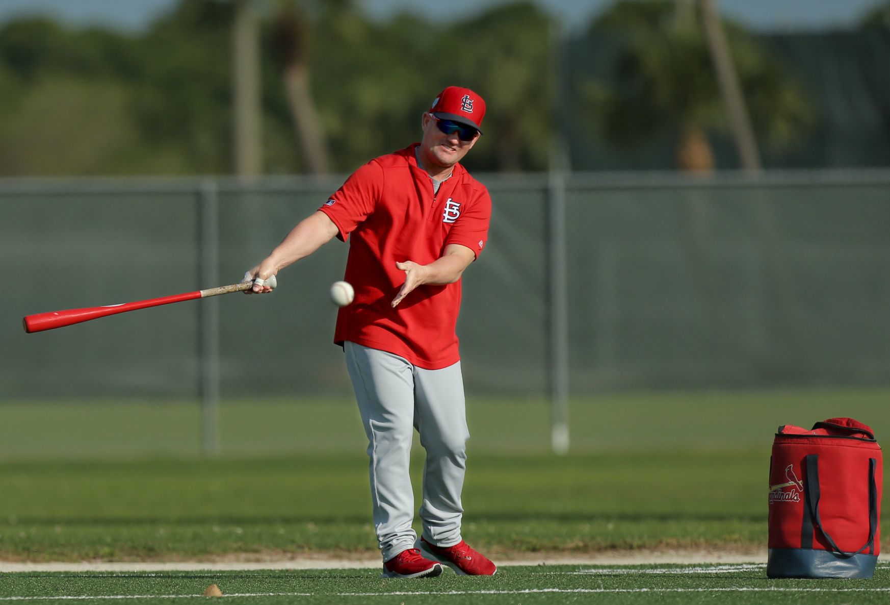 2019 Cardinals spring training